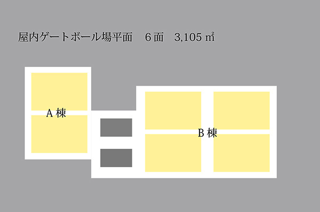 屋内ゲートボール場　3