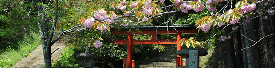 戸隠神社