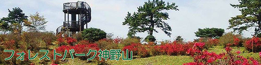 神野山