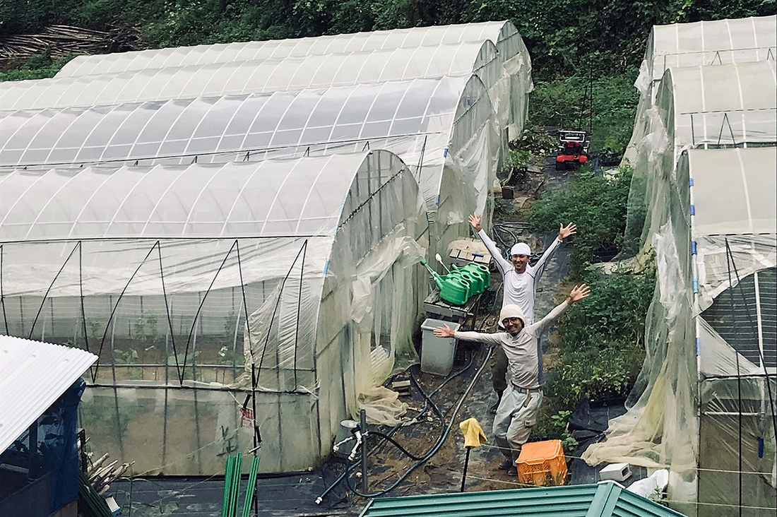 urchin's farm　2