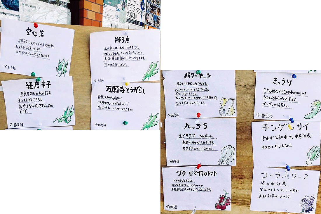 urchin's farm　8