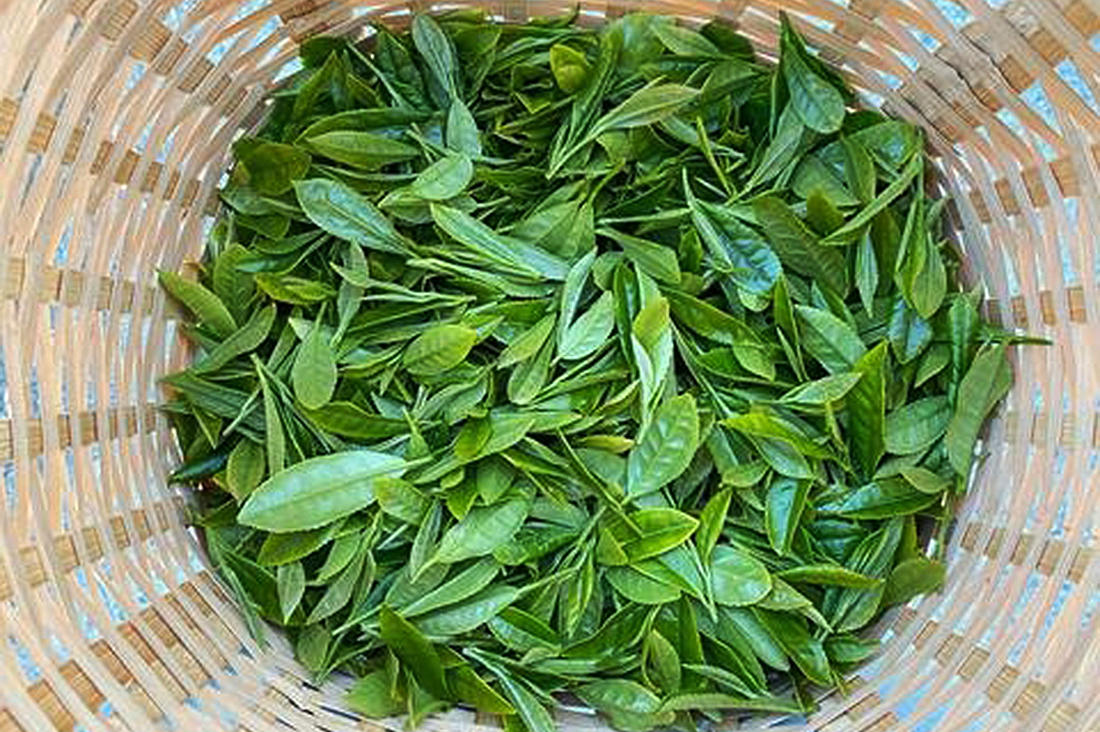健一自然農園　3